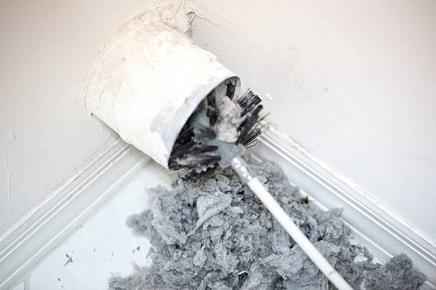 Best Professional Duct Cleaning Services  in New Vienna, OH